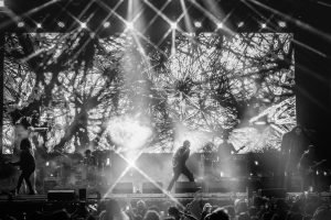 Noticias | Los Lobos Records anuncia lanzamientos globales para marzo